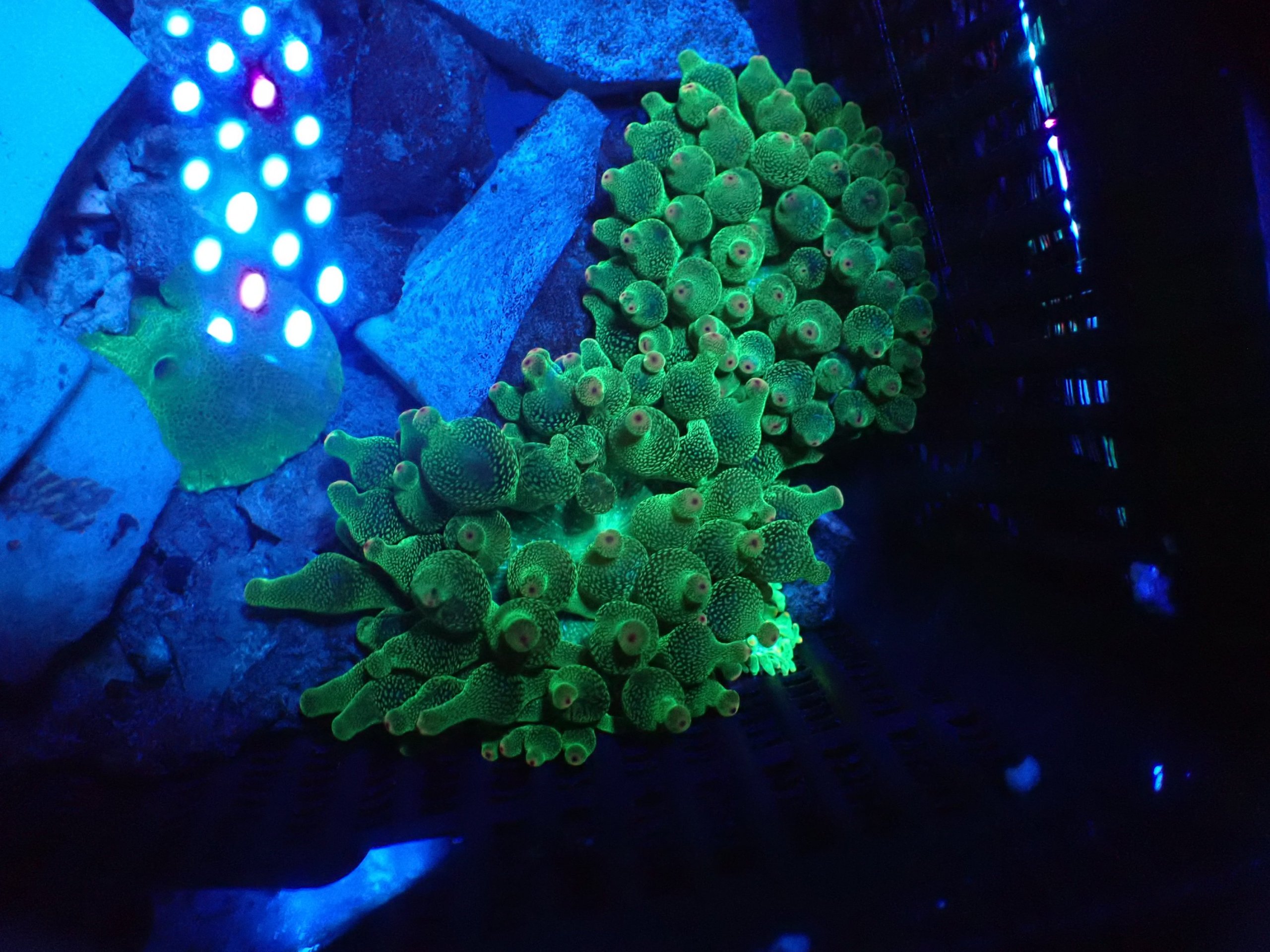 1000014370-scaled.jpg