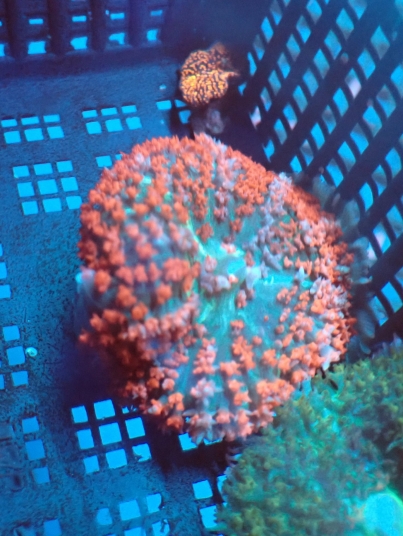 2025/09/35306-scaled.jpg