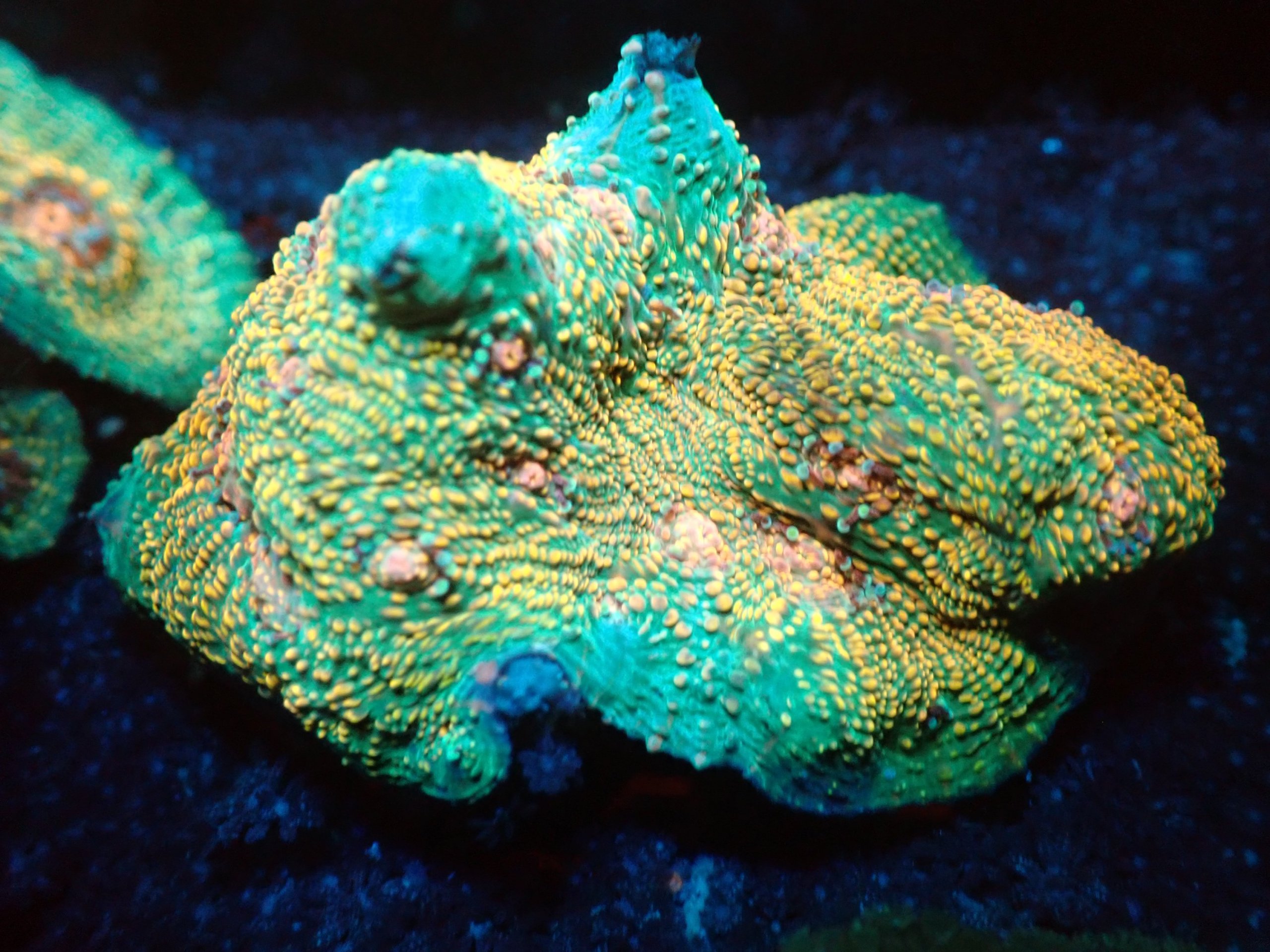 2026/01/60393-scaled.jpg