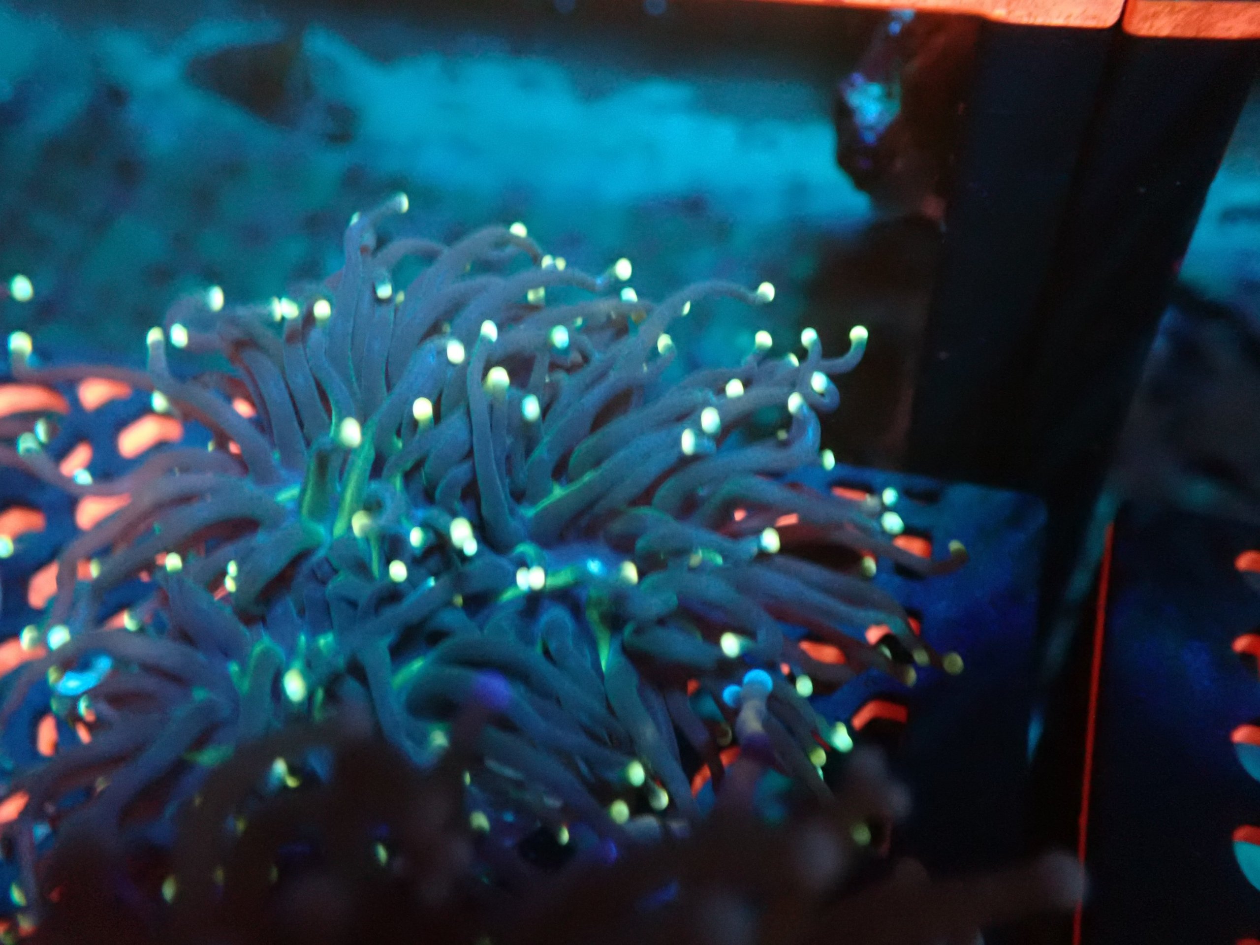 2026/05/88478-scaled.jpg