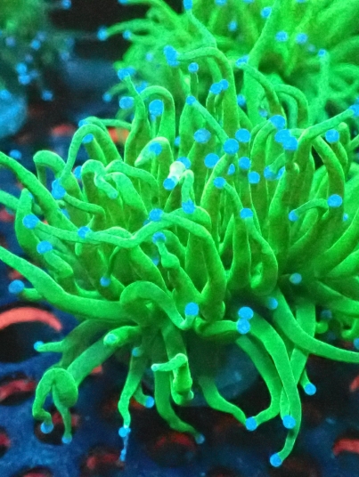 2026/06/100152-scaled.jpg