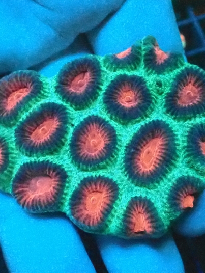 2026/06/105916-scaled.jpg