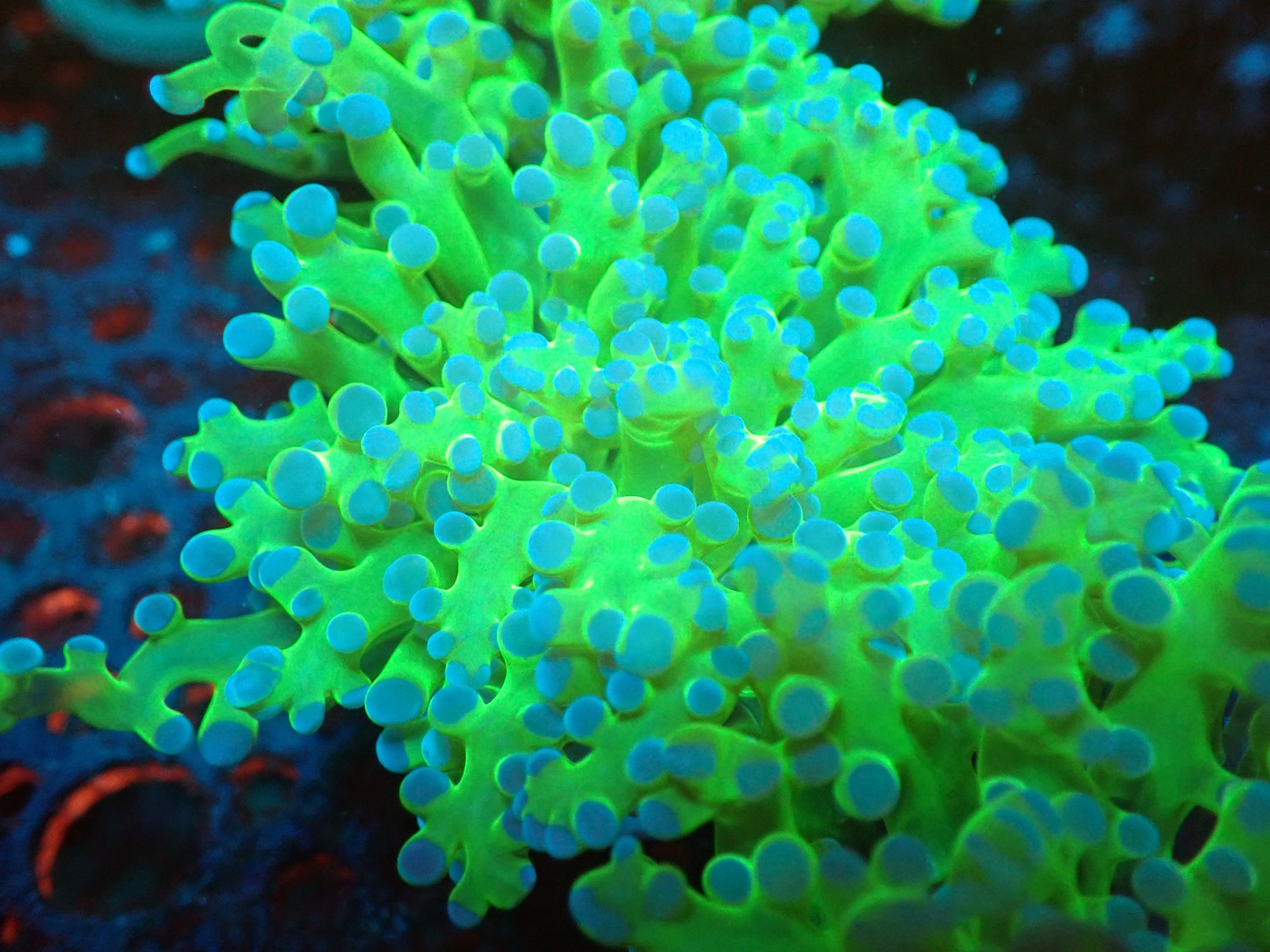 2026/06/95096-scaled.jpg