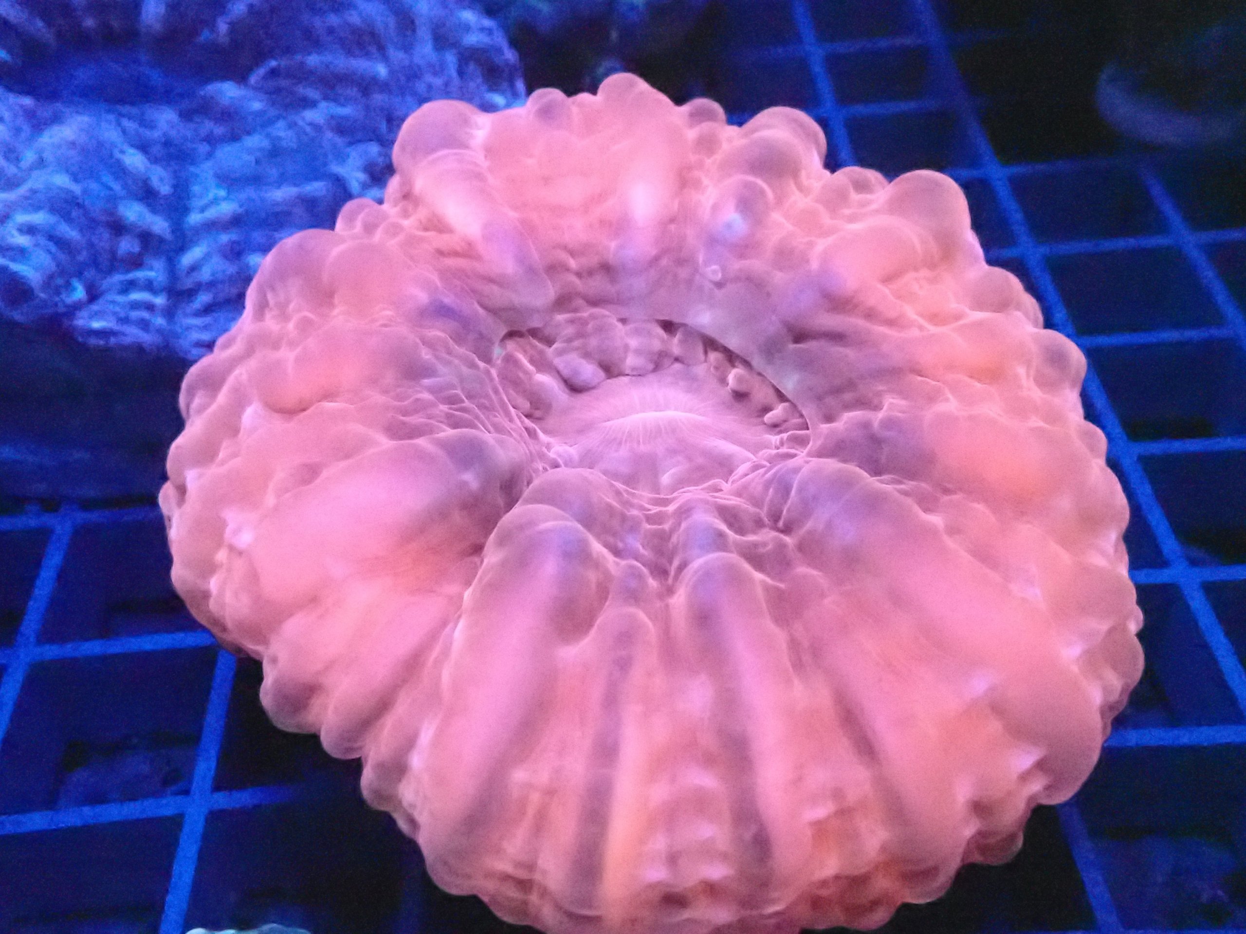 2026/06/99736-scaled.jpg