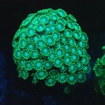 2026/09/81962-scaled.jpg